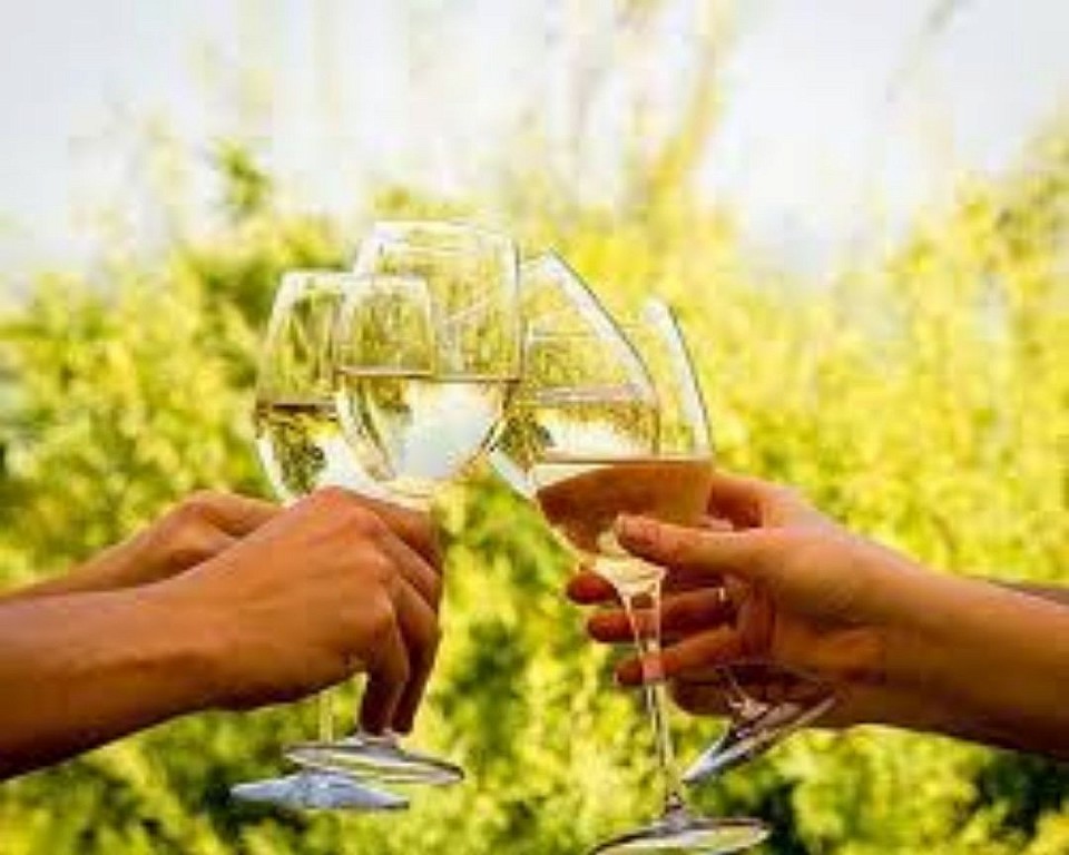 Winelands Tour: Stellenbosch, Franchhoek and Paarl