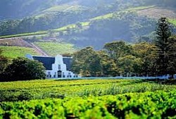 Winelands Tour, always best to enjoy with family and friends