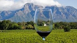 Winelands, at it's best