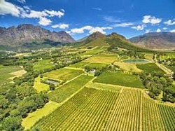 Don't blame us if you missed out on this amazing Winelands opportunity