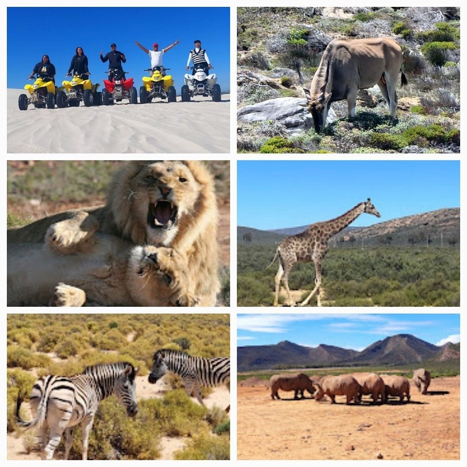 Enjoy our Safari and Quadbike Adventure